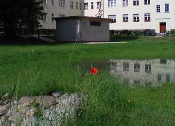 Foto der Rasenmulde mit einstehendem Regenwasser